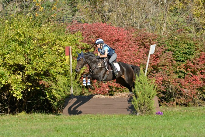 104-1_7277 MSTC 2014