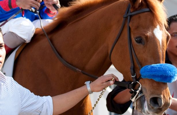 EQUESTRIAN: 03 27 Louisiana Derby